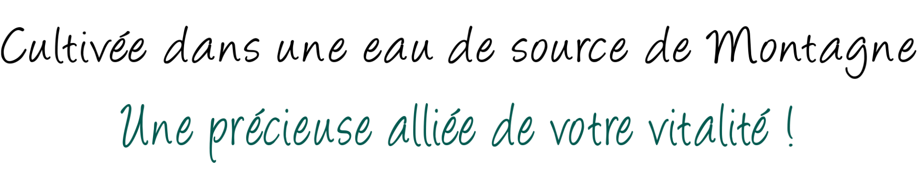 entete-jardin-essenciel