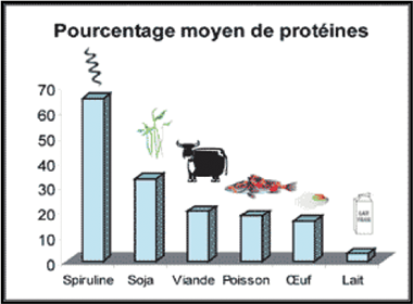 pourcentage moyen de protéines de la spiruline